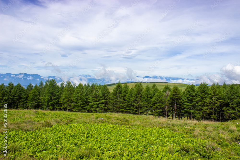 Naklejka premium Pasture on the plateau with clouds in the background