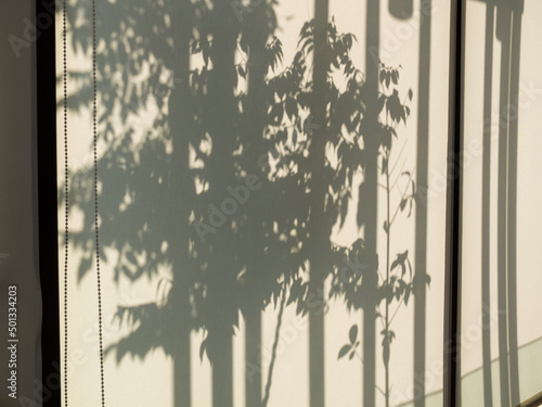tree shadow on curtain
