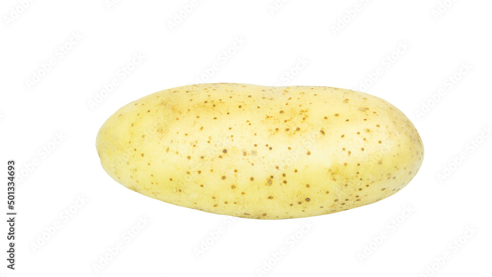 Young potato isolated on white background Young potato isolated on white background
