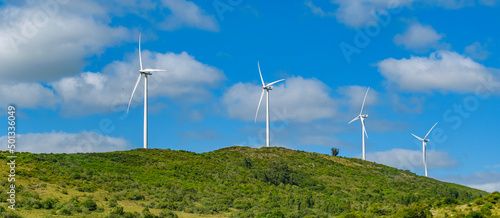 Windmillls at Countryside Landscape, Uruguay photo