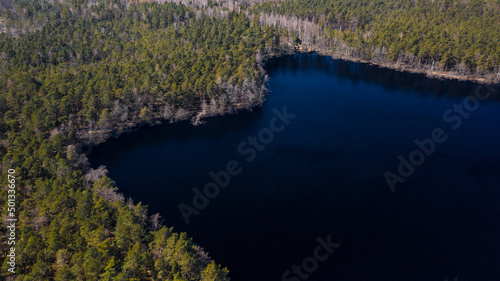 Aerial landscape of the lake surrounded by the green forest. Bird's eye view of the blue water and treetops in a sunny day.