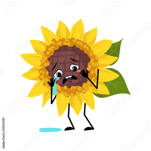 Sunflower character with crying and tears emotion, sad face, depressive eyes, arms and legs. Plant person with melancholy expression, yellow sun flower emoticon. Vector flat illustration