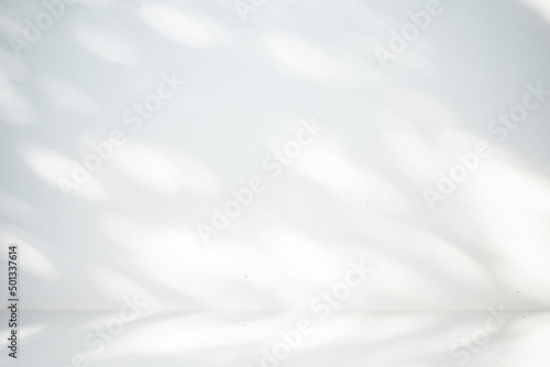 Abstract gray and white backgrounds , shadow background with copy space, display products ,room, interior