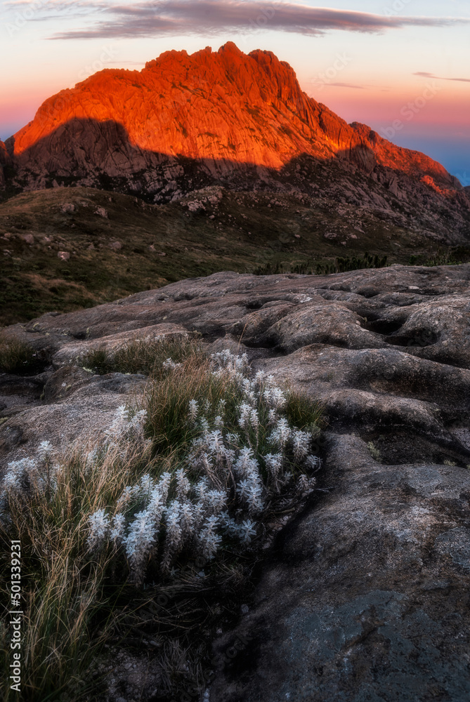 Fototapeta premium Angelo Chernicharo - www.achernicharo.com.br