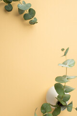Top view vertical photo of ceramic vase with eucalyptus on isolated pastel orange background with copyspace