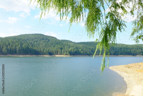 lago alberi