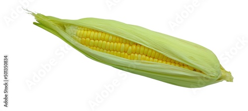 Ear of corn isolated on white background as a package design element.