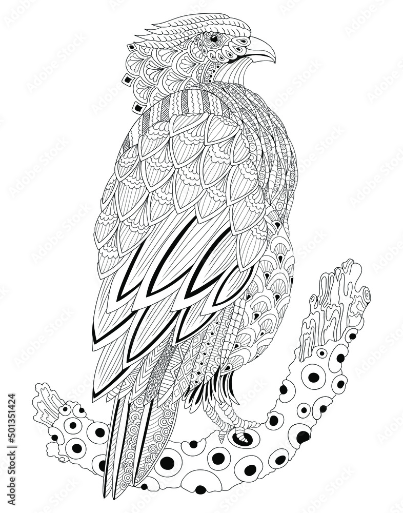 Falcon noir et blanche new arrivals