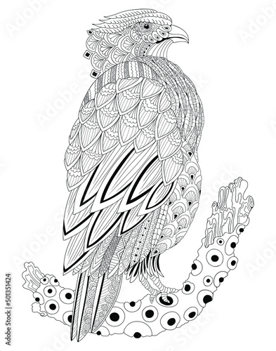 inverted black and white image of a falcon on a white background. Hand drawn in zentangle style for t-shirt or tattoo design. anti-stress coloring book with a bird of prey.