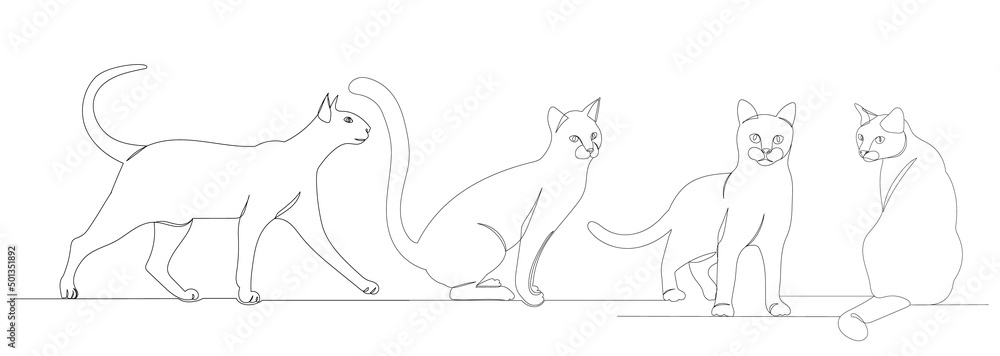 cats continuous line drawing, sketch, vector