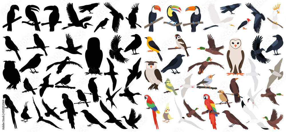 set of bird silhouette, on white background, isolated, vector set of bird silhouette, on white background, isolated, vector