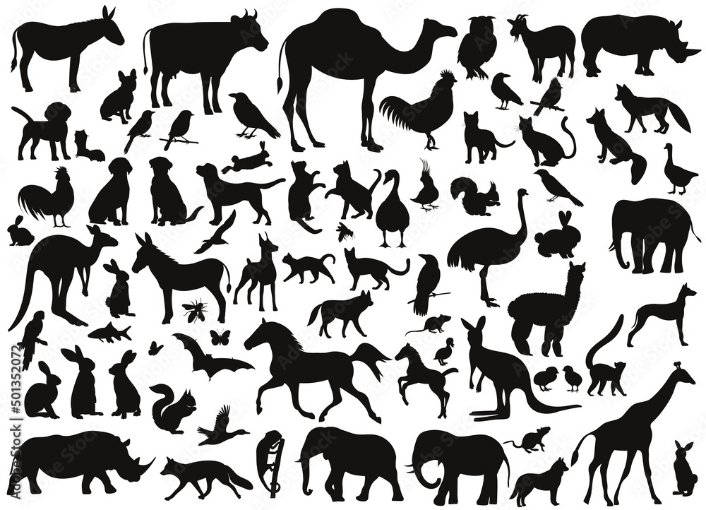 set of animal silhouette, on white background, isolated, vector Stock ...
