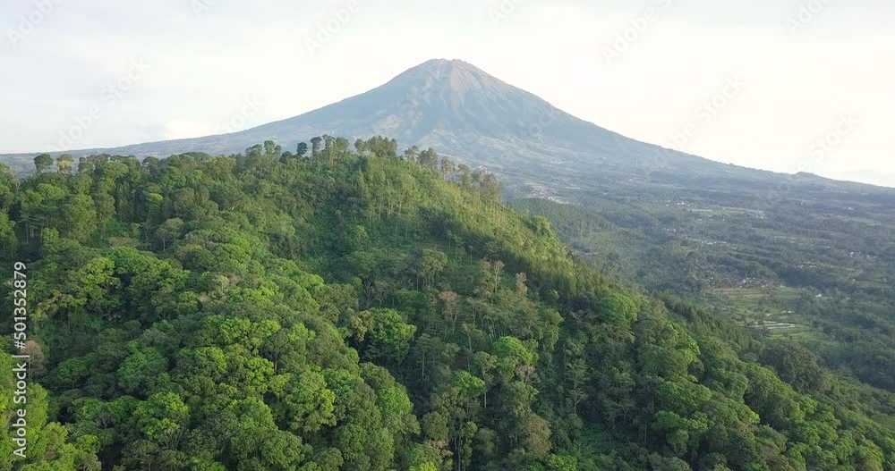 aerial drone view of hill and forest in tropical country Indonesia. variety of plants and vegetation in the wild. Mount sumbing in the background aerial drone view of hill and forest in tropical country Indonesia. variety of plants and vegetation in the wild. Mount sumbing in the background