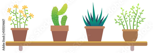 Green plants on wooden shelf. Houseplant store pots