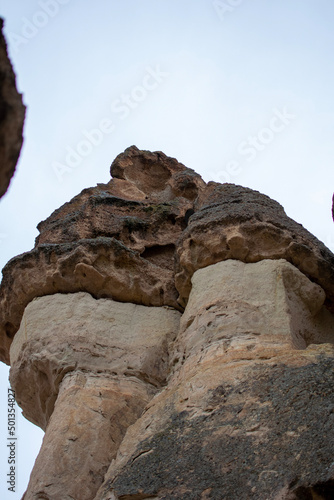 ruins of the fortress