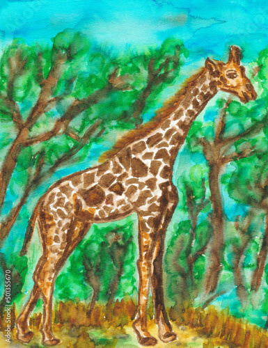 Art with a standing brown giraffe in wild. Used brush pens on watercolor paper. Vague background a blue sky and trees  sand. 2020  Aug.