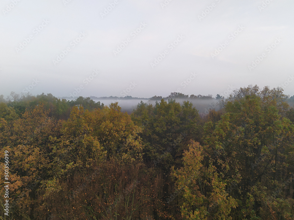Moody fall landscape with with fog over the treetops. Autumn forest with brown, yellow and green foliage.