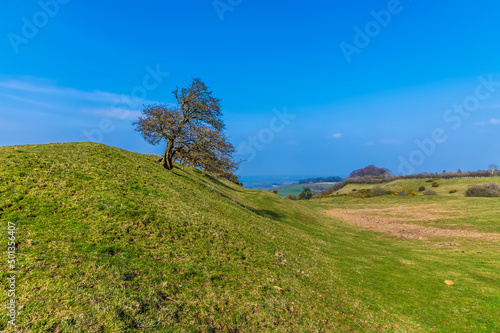 A view down the side of the eastern ramparts of the Iron Age Hill fort remains at Burrough Hill in Leicestershire, UK in early spring