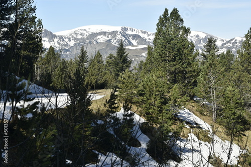 plateau de beille photo