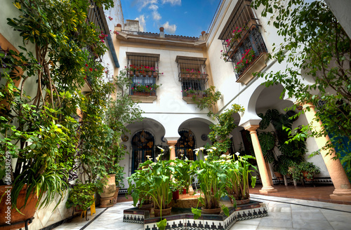 Entrance in a house in the Juderia neighborhood in Cordoba, Andalucia, Spain photo