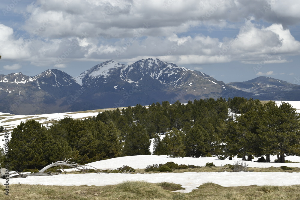 Fototapeta premium paysage au Plateau de beille