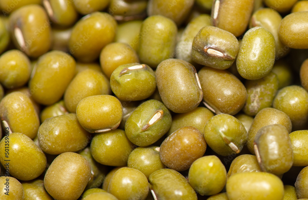 Mung beans as a background.