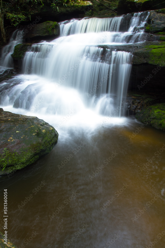 waterfall in the forest