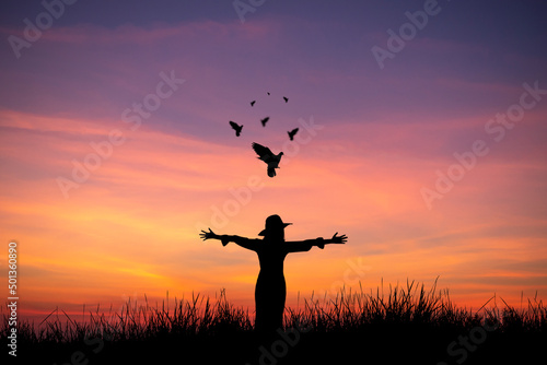 Young woman standing and open arms on meadow with bird flying over the sky at sunset.