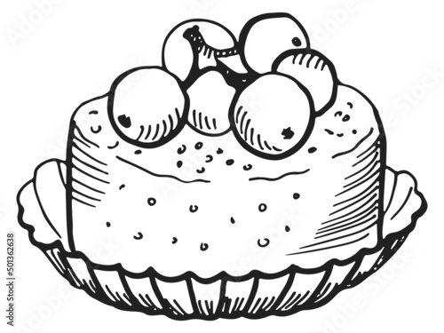 Blueberry cheesecake sketch. Hand drawn sweet dessert