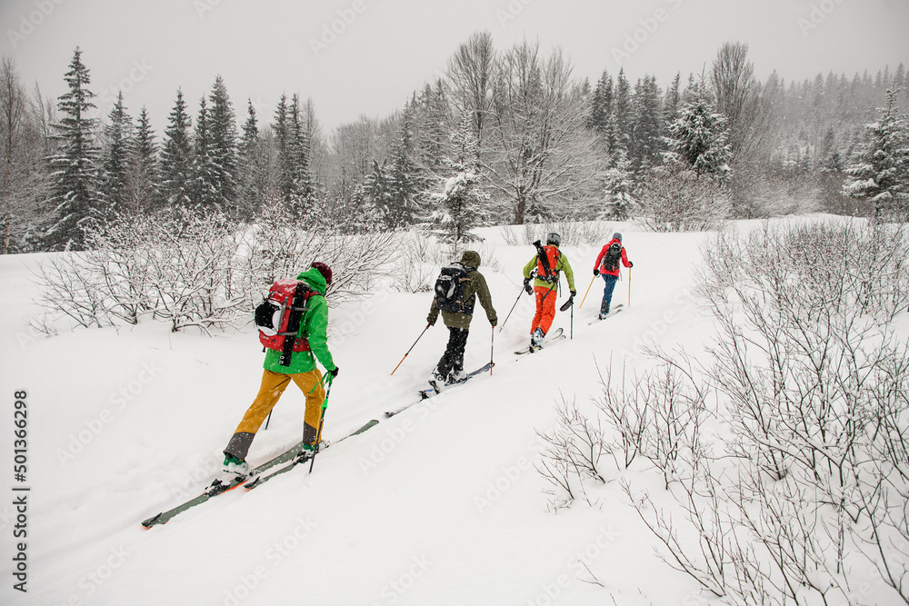 custom made wallpaper toronto digitalGroup ot travelers, male skier tourists with backpacks hiking on skis in deep snow