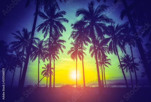 Silhouette coconut palm trees on beach at sunset. © nuttawutnuy