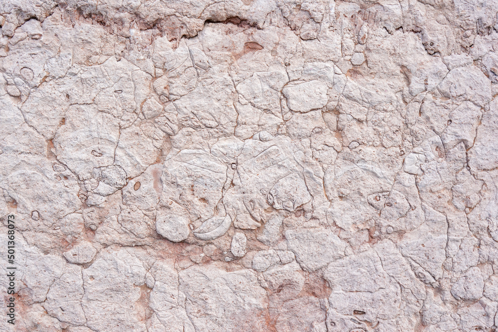 Fototapeta premium Pink Wall Texture Background. Abstract Painted Wall Surface. Copy Space For design