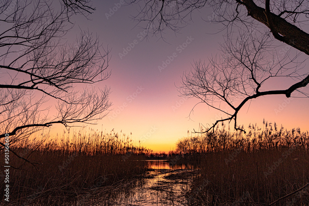 Ein schöner Sonnenuntergang in einer ruhigen Teichlandschaft