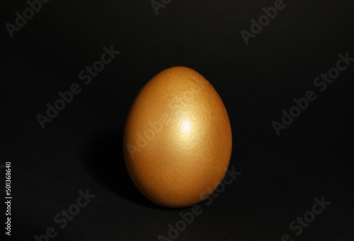 One shiny golden egg on black background