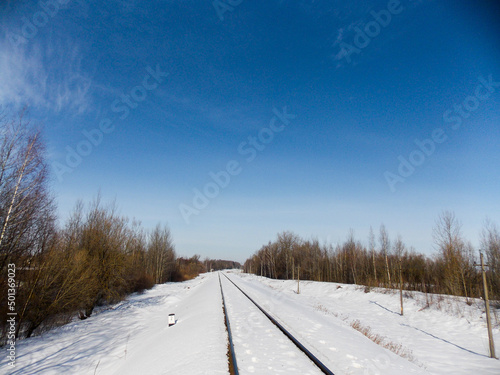 Rail track along the middle of the forest