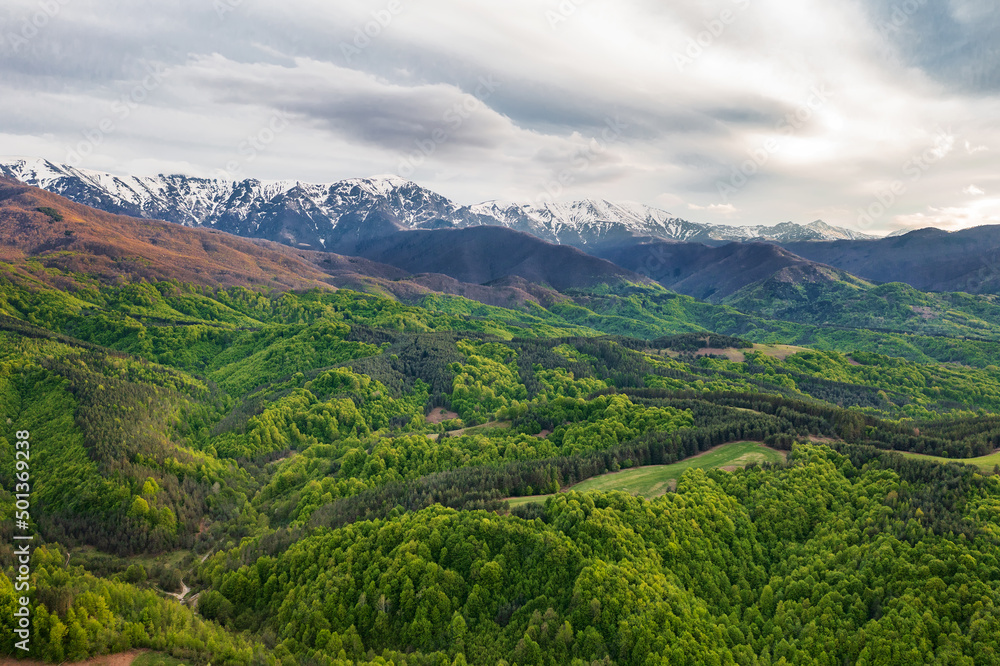 Snow-capped mountains and green forest. Colorful landscape in spring.The concept of tourism