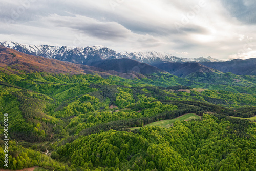 Snow-capped mountains and green forest. Colorful landscape in spring.The concept of tourism © EdVal