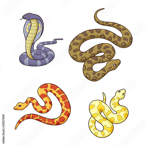 hand drawn snake collection 2