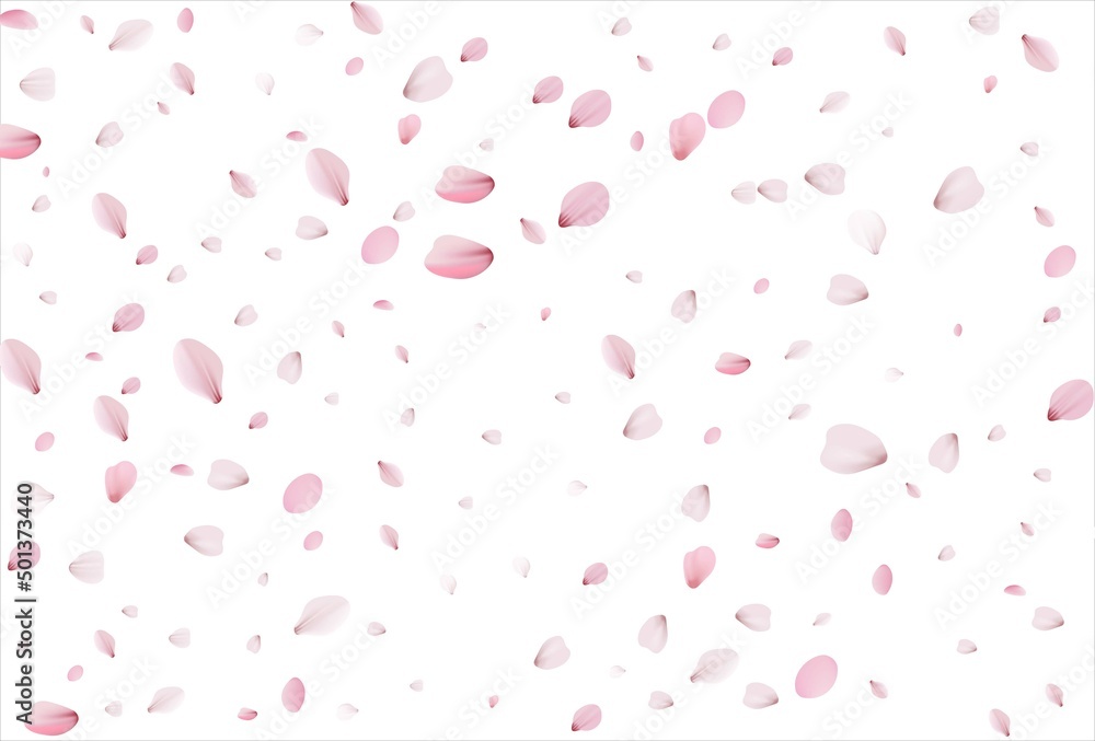 Sakura petals background. Cherry petals