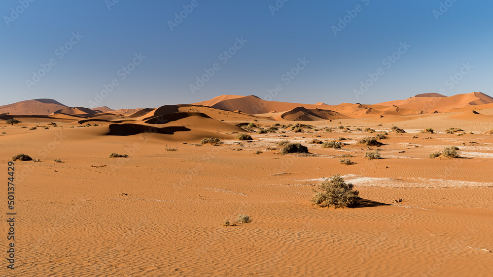 Red sand dunes in Sossusvlei, Namib-Naukluft National Park, Namibia
