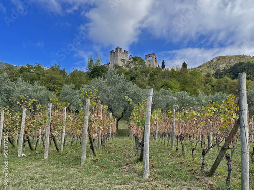 Il Castello di Avio - Trentino