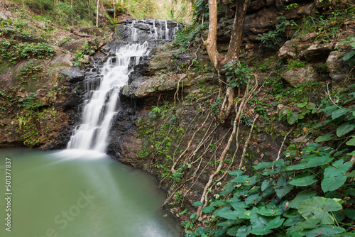 Ton Rak Sai Waterfall is in Namtok Sam Lan National Park ,Saraburi Thailand	