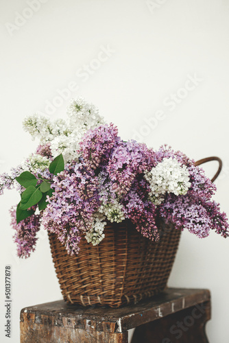 Fototapeta Naklejka Na Ścianę i Meble -  Beautiful lilac flowers in wicker basket on wooden chair. Spring rustic still life on rural background. Purple and white lilacs composition in home. Happy mothers day