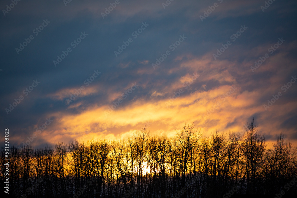 Winter sunrise with bare trees and moody clouds
