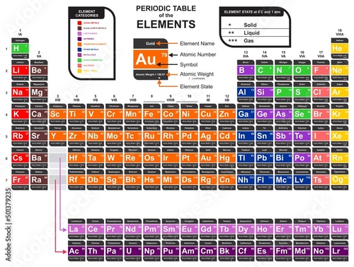 The periodic table of the elements elegant design including category state of matter group element name atomic number weight symbol for chemistry science education vector illustration