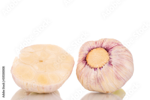 One whole head and one half of early garlic in a wooden cup, close-up, isolated on a white background.