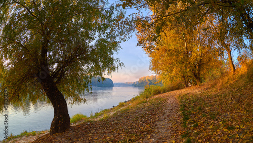 autumn landscape with trees and Desna river in Chernihiv  Ukraine