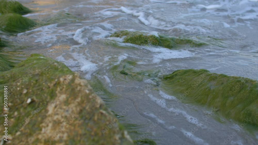 The stones are covered with green algae. Waves of sea crash against the rocks of the coast. The energy of water at high tide. The stones are covered with green algae. Waves of sea crash against the rocks of the coast. The energy of water at high tide.
