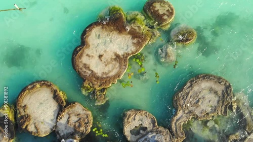 Aerial Drone Shot of Ancient Stromatolites in seven colores lagoon near Bacalar, Quintana Roo, Mexico photo