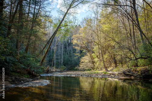 View of Swift Camp Creek in Kentucky Cliffty Wilderness in the Daniel Boone National Forest photo